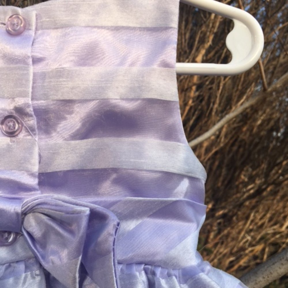 Exquisite, NWOT, Lilac Baby Dress with Rose Buds, & Leaves - Picture 6 of 8
